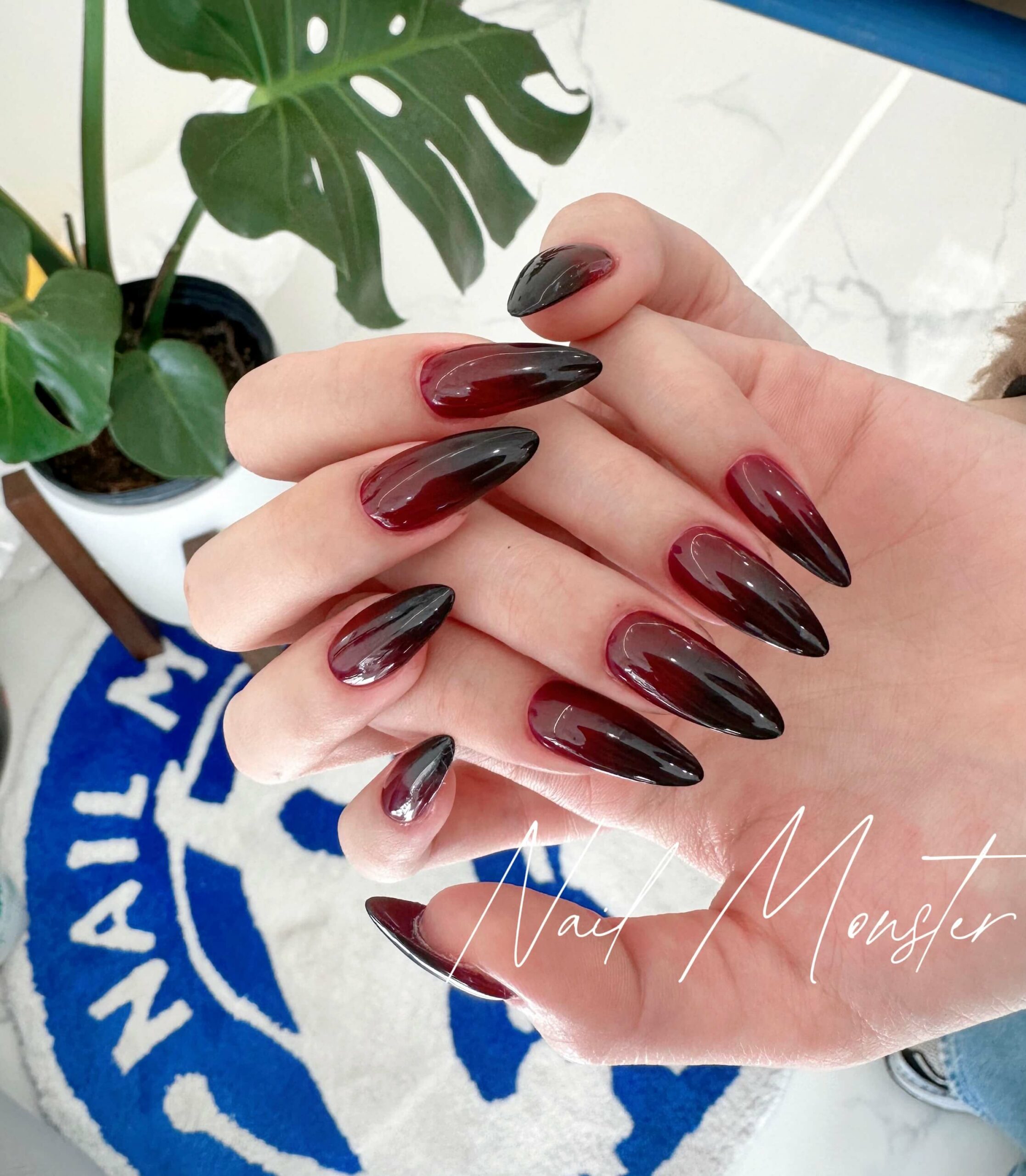 Salon interior and nail work