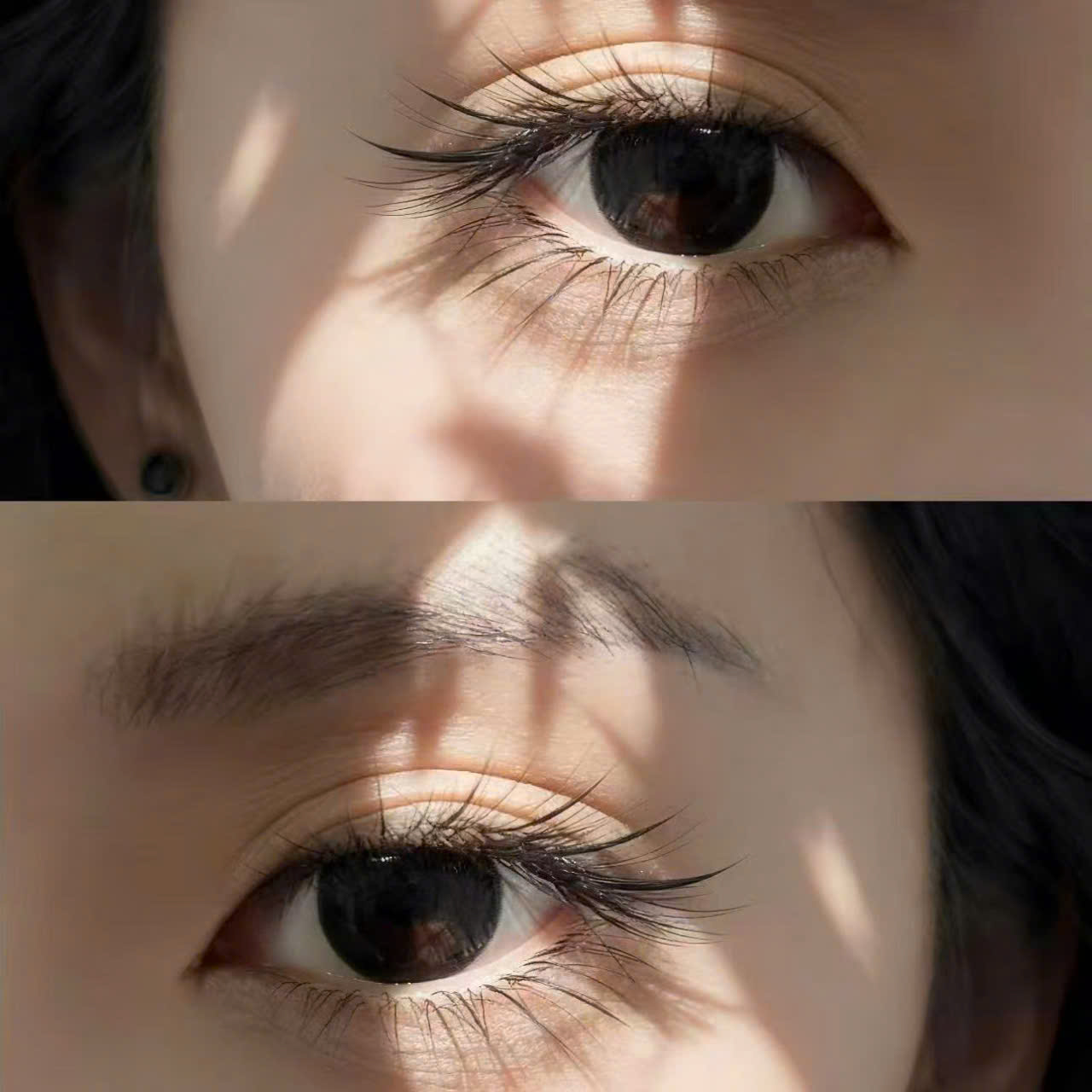 Eyelash / Wax